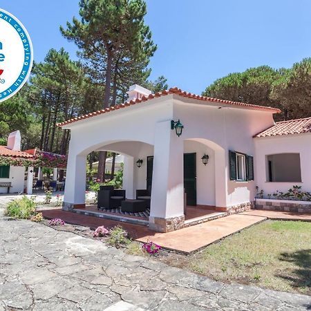 Ocean, Pines And Mountain - Renovated February 2025 - Ac Villa Коларес Екстериор снимка
