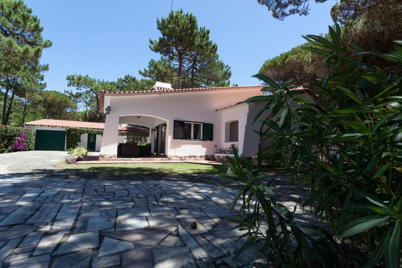 Ocean, Pines And Mountain - Renovated February 2025 - Ac Villa Коларес Екстериор снимка