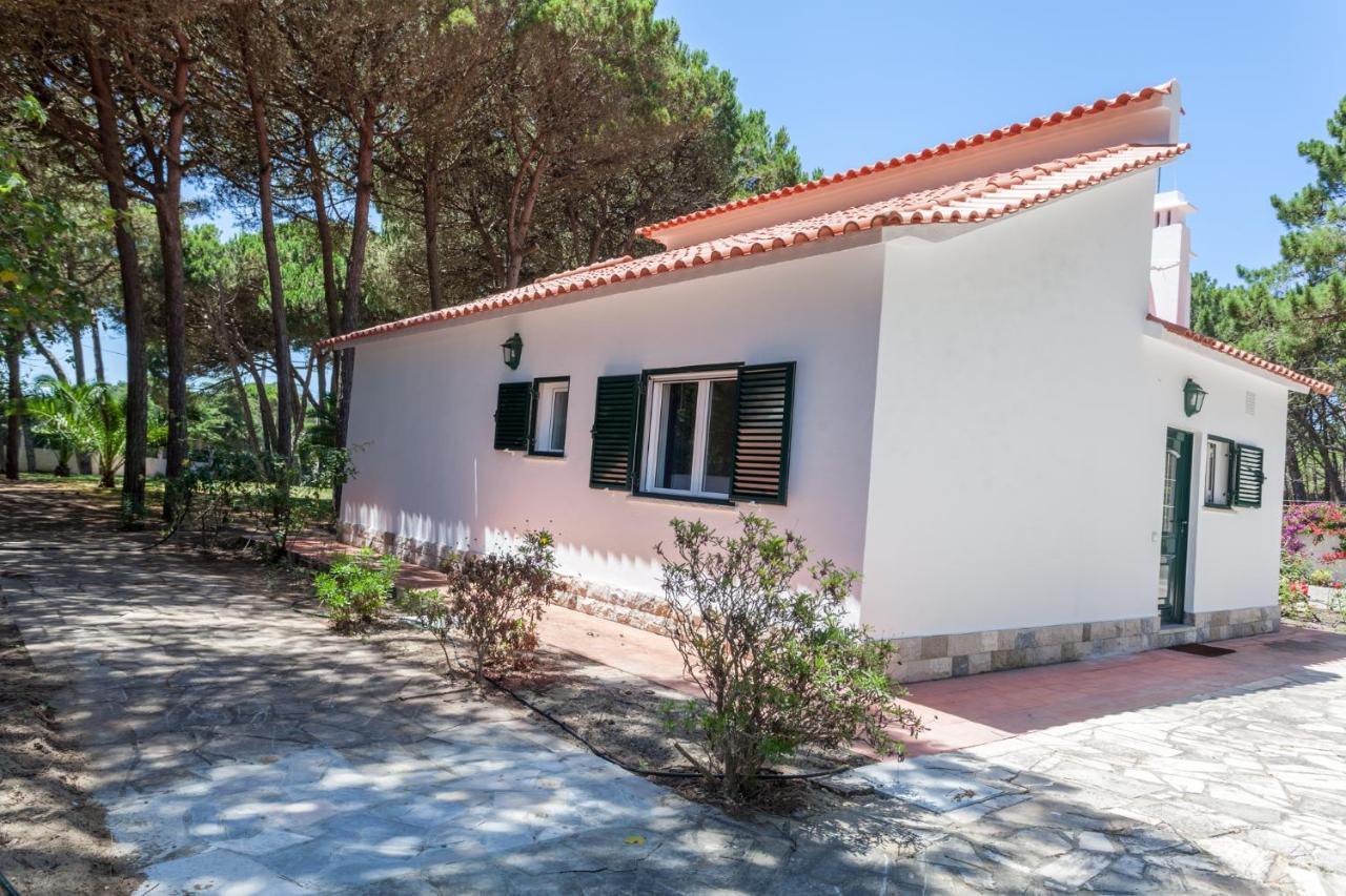Ocean, Pines And Mountain - Renovated February 2025 - Ac Villa Коларес Екстериор снимка