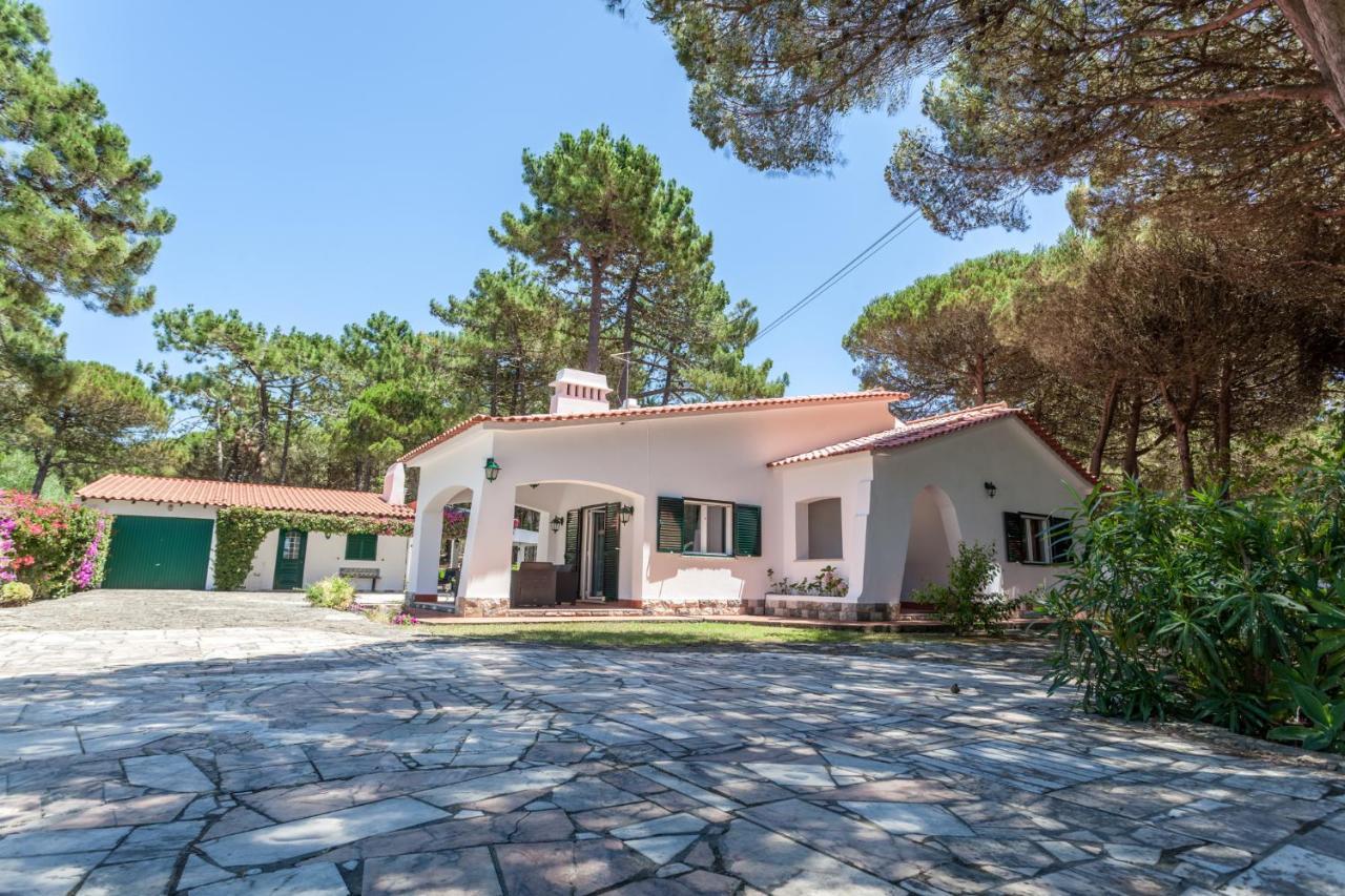 Ocean, Pines And Mountain - Renovated February 2025 - Ac Villa Коларес Екстериор снимка