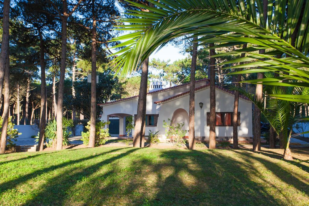 Ocean, Pines And Mountain - Renovated February 2025 - Ac Villa Коларес Екстериор снимка