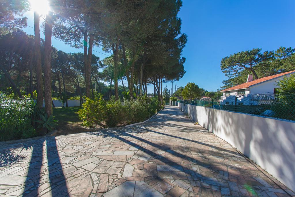 Ocean, Pines And Mountain - Renovated February 2025 - Ac Villa Коларес Екстериор снимка